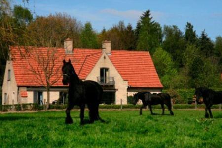 B&B Heerlijkhyd Hertsberge Exterior foto